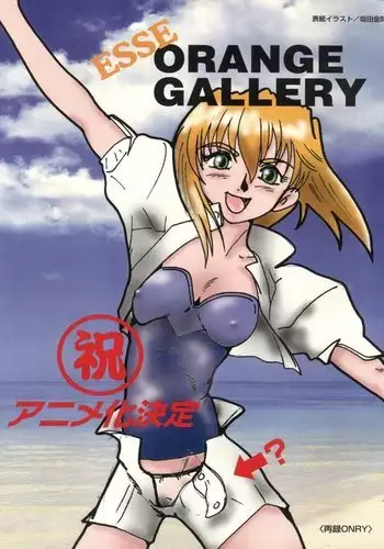 Esse Orange Gallery