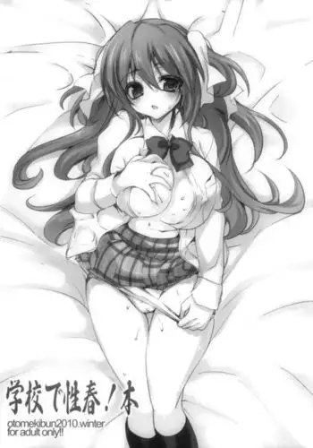 Gakkou de Seishun! Hon