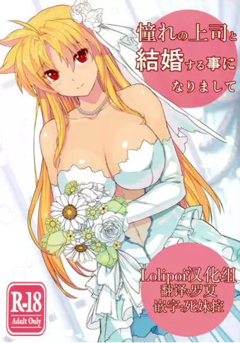 (C93) [Studio Himawari (Himukai Kyousuke)] Akogare no Joushi to Kekkon Suru Koto ni Narimashite (Mahou Shoujo Lyrical Nanoha) [Chinese] [Lolipoi汉化组]