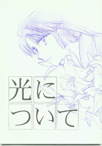 [Danna-sama to Watashi (Usaru Kichino)] Hikari ni Tsuite - Lonely Heart Sango Hen (Inuyasha)